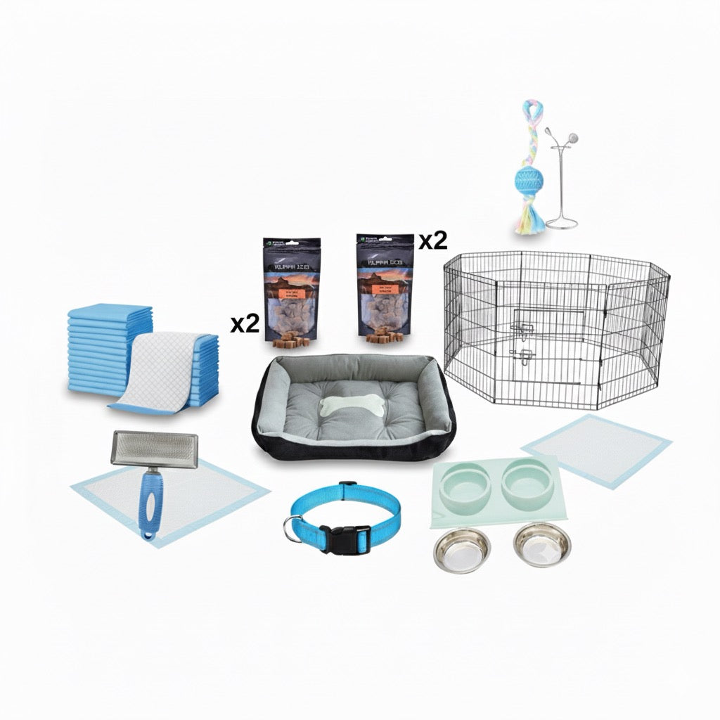 סט ציוד חובה לגור כלבים – מיטה, קערות, צעצועים, רצועה וגדר אילוף