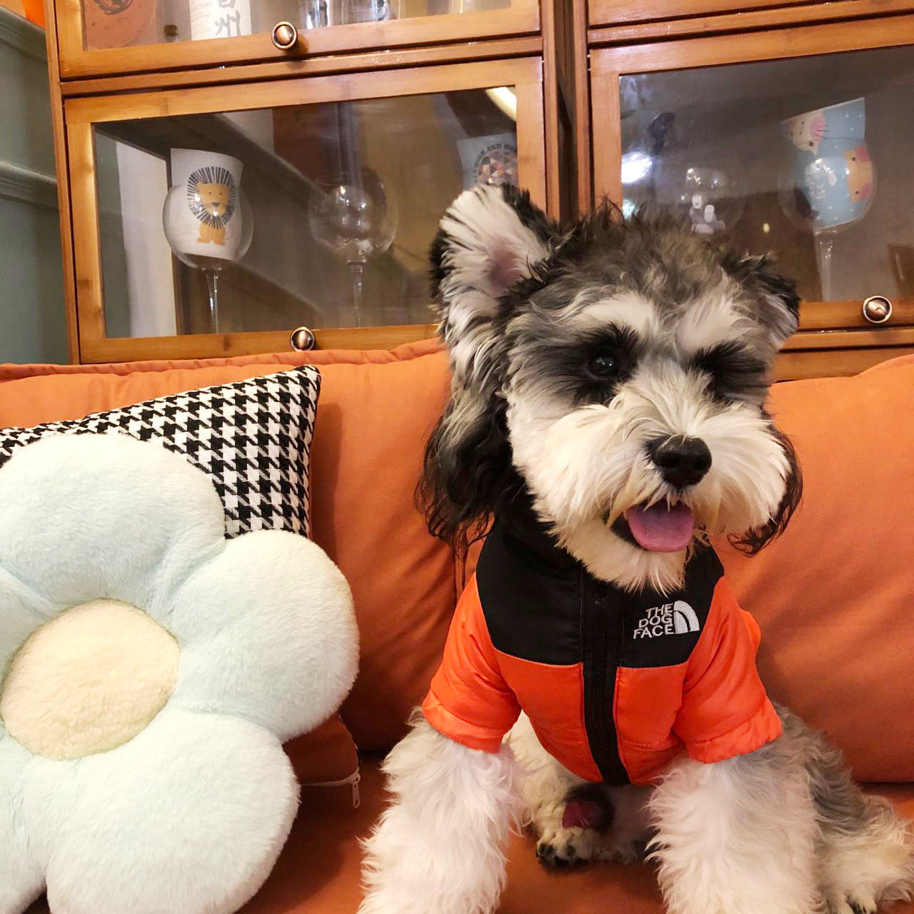 מעיל חורף לכלב FACE DOG THE