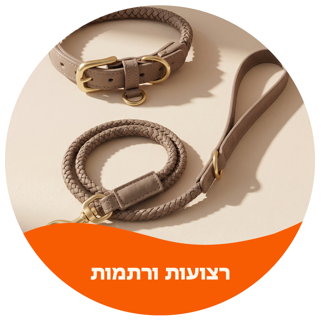 רצועות, רתמות וקולרים לכלבים