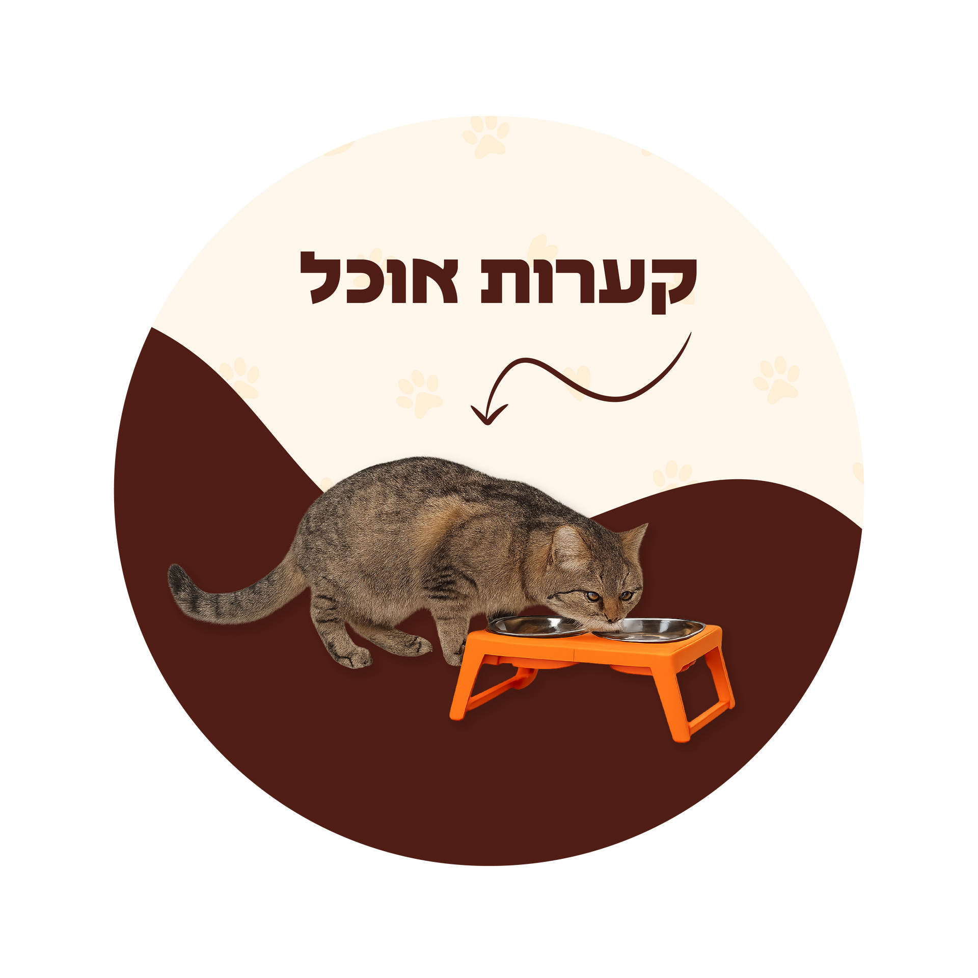 קערות וכלי האכלה לכלבים וחתולים