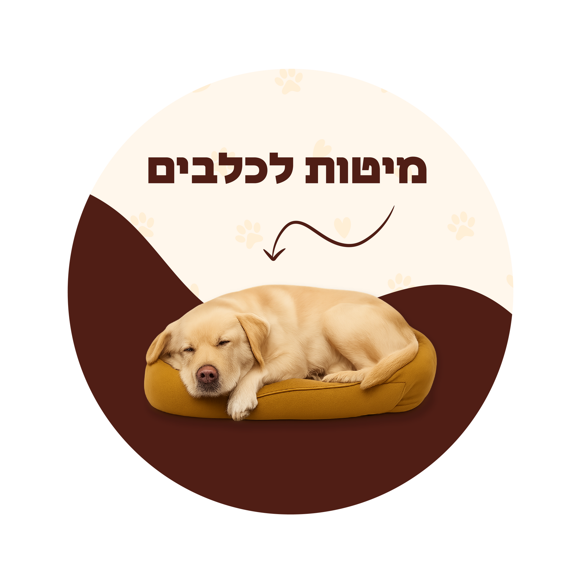 מיטות לכלבים