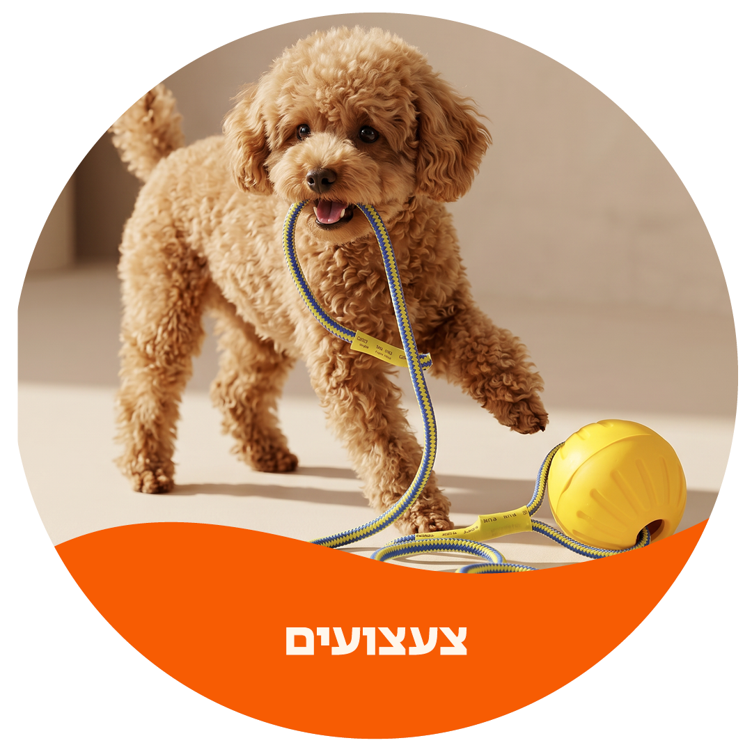 צעצועים לכלבים וחתולים