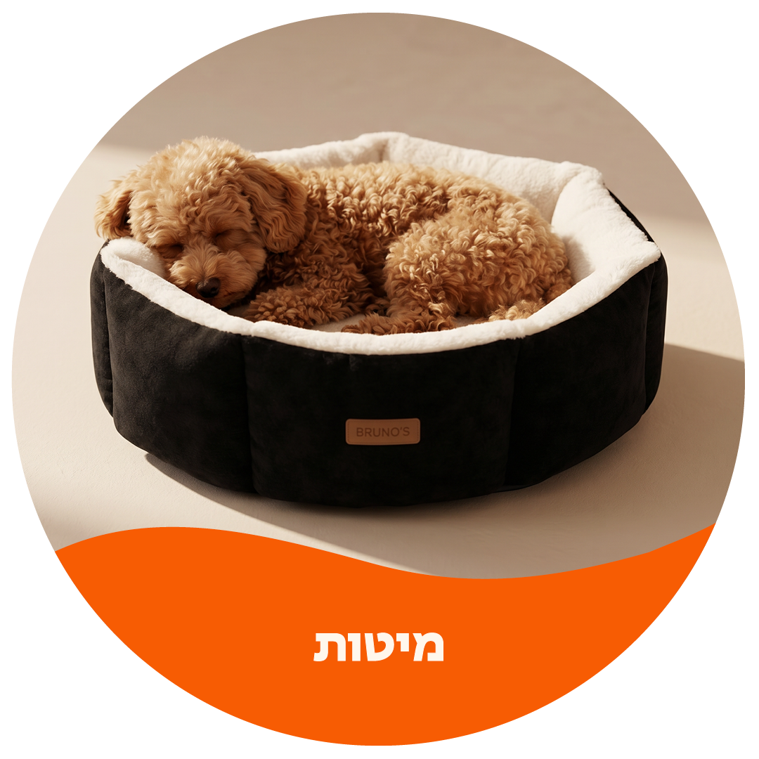מיטות לכלבים
