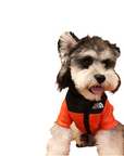 מעיל חורף לכלב FACE DOG THE