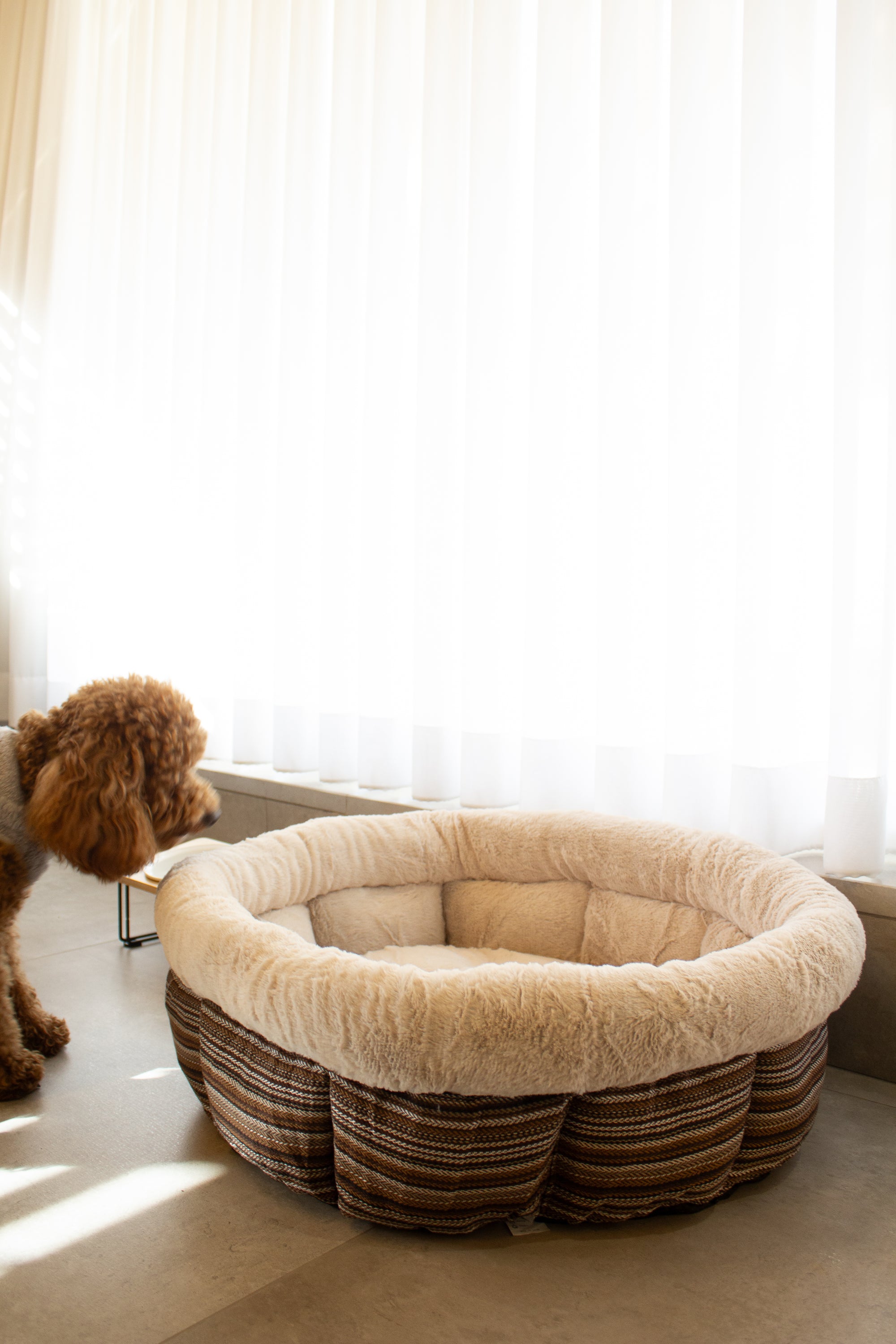 מיטת קינג פרימיום עגולה לכלבים – ריפוד רך ונוחות מקסימלית