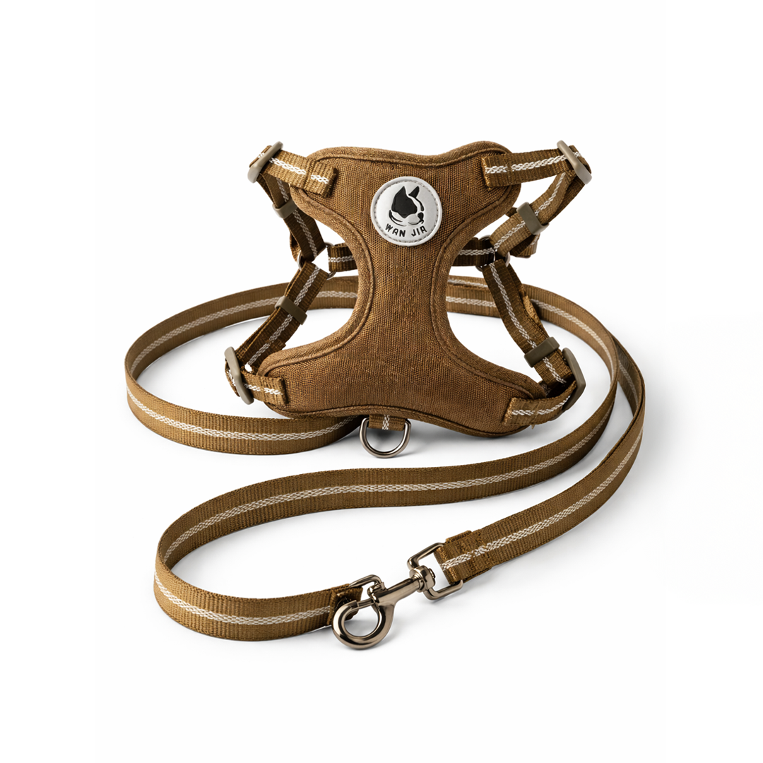 רצועה Pet Paradise