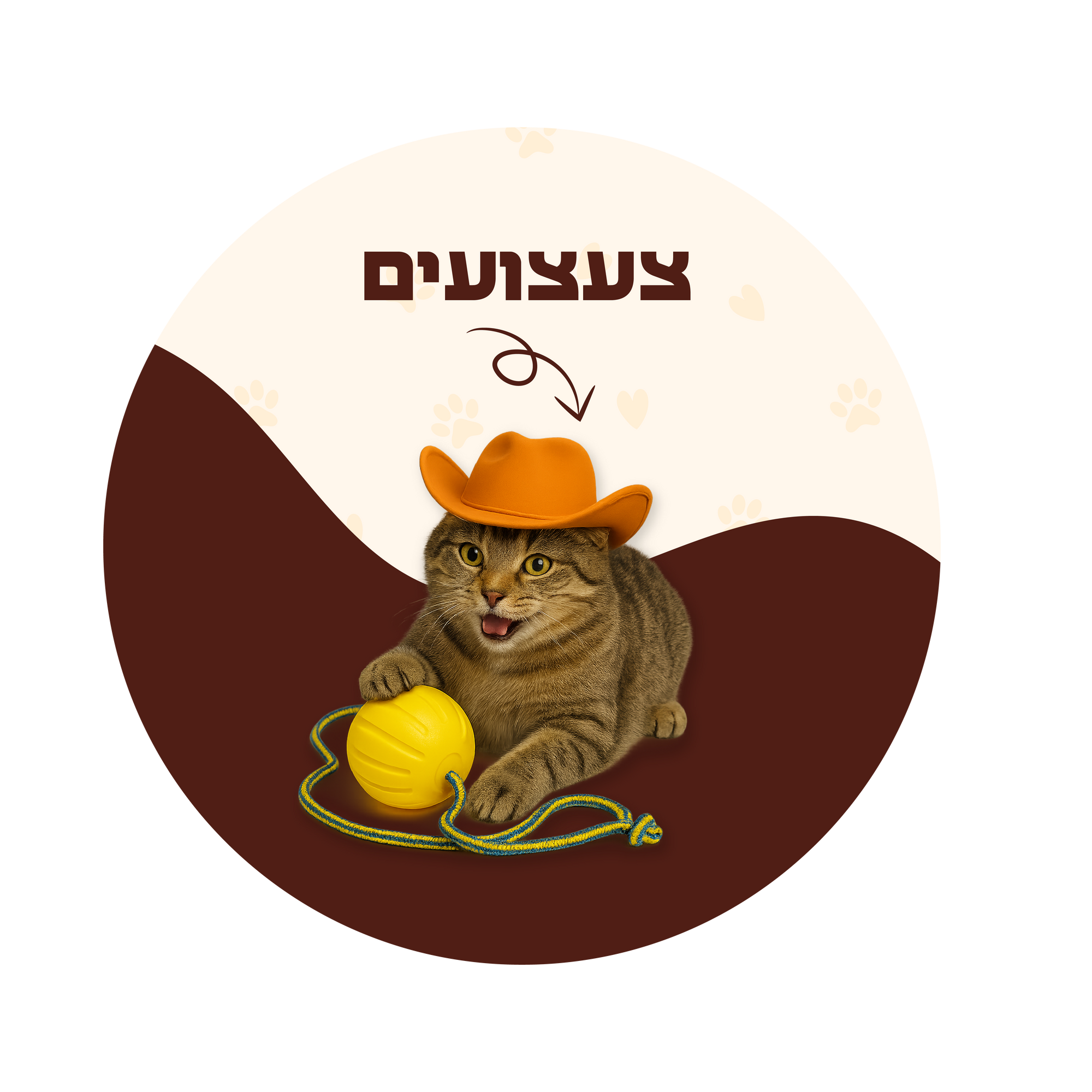 Collection Image