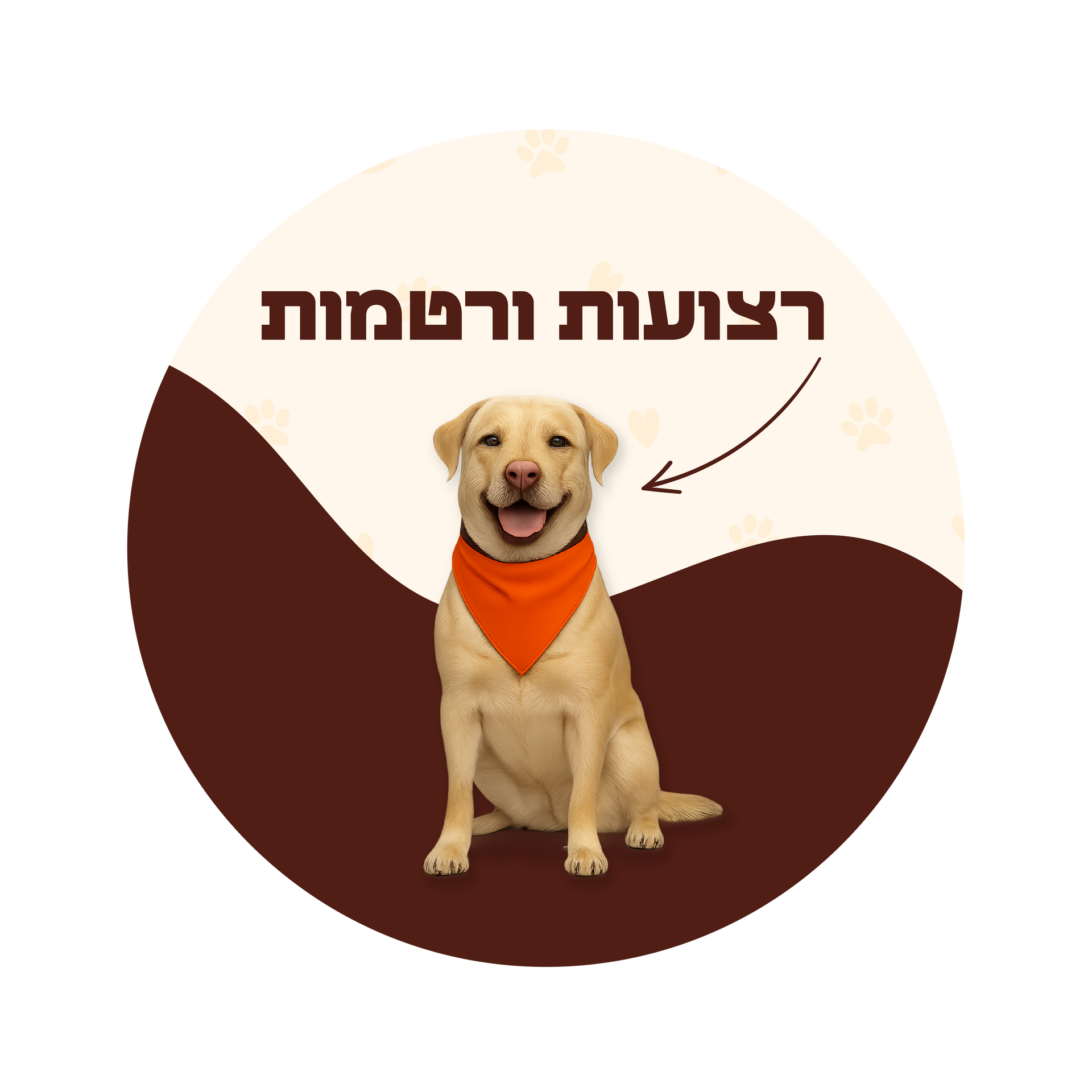 רצועות, רתמות וקולרים לכלבים